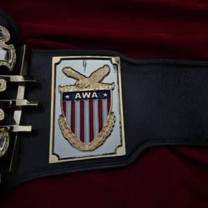 AWA WORLD HEAVYWEIGHT - Image 3
