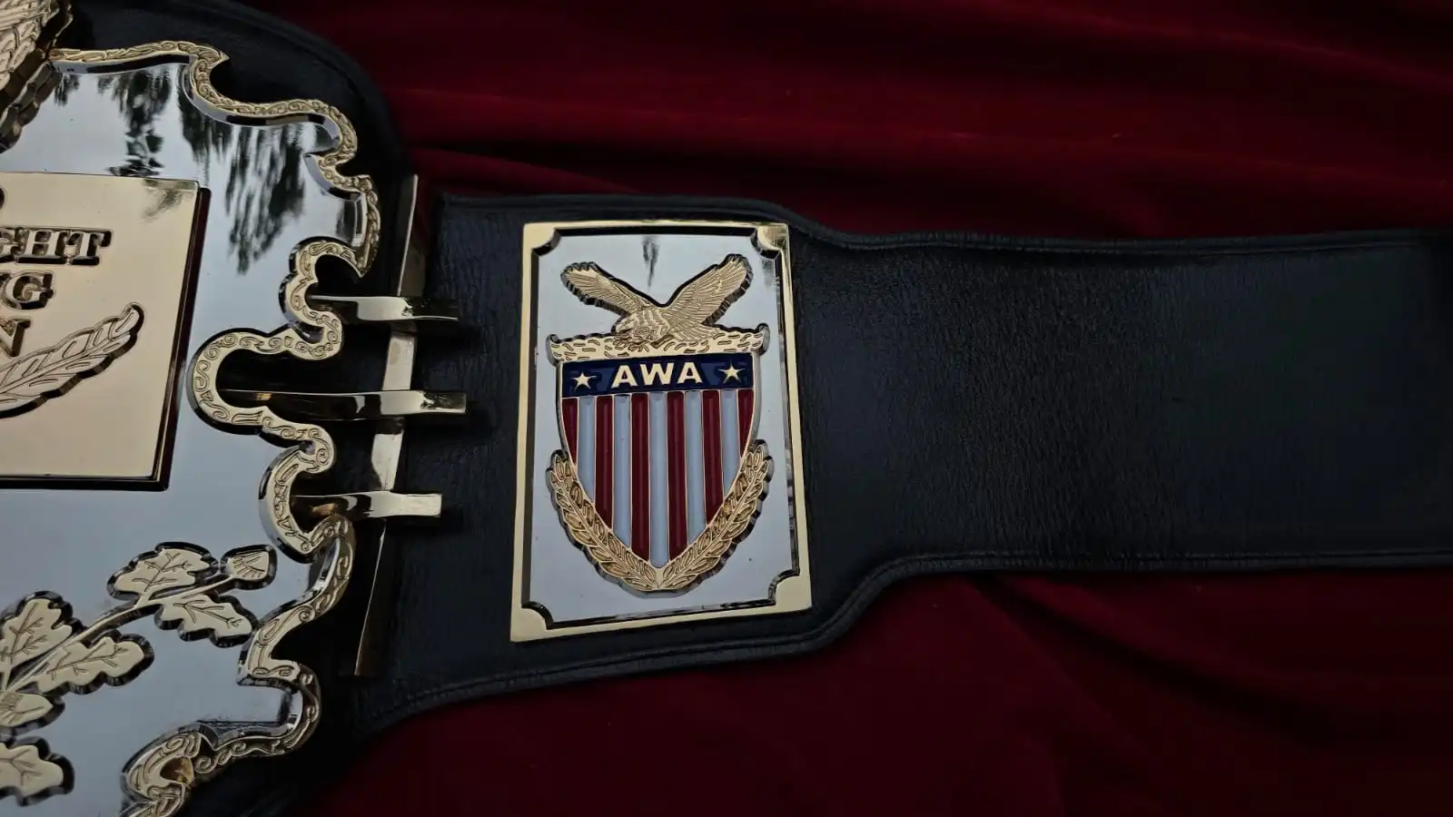 AWA WORLD HEAVYWEIGHT - Image 3