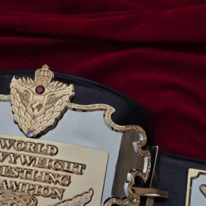 AWA WORLD HEAVYWEIGHT - Image 6